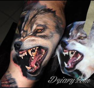 Wilk na tatuażu kojarzy się z niebezpieczeństwem. Starannie nakreślony pysk drapieżników, na ciele staje się konkretnym symbolem. Duże możliwości daje zastosowanie wilczych tatuaży na różnych fragmentach ciała. 