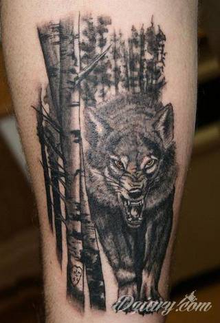 Wilk na tatuażu kojarzy się z niebezpieczeństwem. Starannie nakreślony pysk drapieżników, na ciele staje się konkretnym symbolem. Duże możliwości daje zastosowanie wilczych tatuaży na różnych fragmentach ciała. 