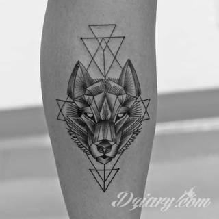 Wilk na tatuażu kojarzy się z niebezpieczeństwem. Starannie nakreślony pysk drapieżników, na ciele staje się konkretnym symbolem. Duże możliwości daje zastosowanie wilczych tatuaży na różnych fragmentach ciała. 