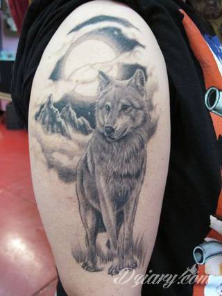 Wilk na tatuażu kojarzy się z niebezpieczeństwem. Starannie nakreślony pysk drapieżników, na ciele staje się konkretnym symbolem. Duże możliwości daje zastosowanie wilczych tatuaży na różnych fragmentach ciała. 