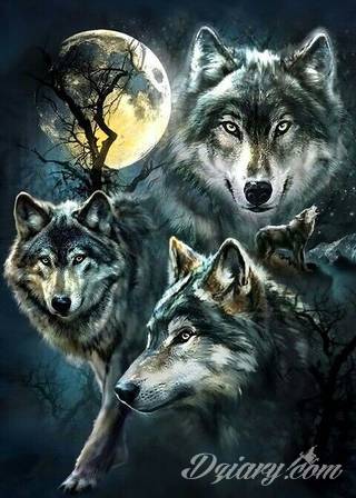 Wilk na tatuażu kojarzy się z niebezpieczeństwem. Starannie nakreślony pysk drapieżników, na ciele staje się konkretnym symbolem. Duże możliwości daje zastosowanie wilczych tatuaży na różnych fragmentach ciała. 