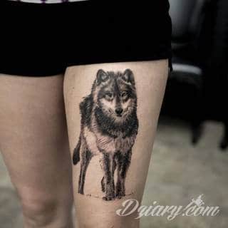 Wilk na tatuażu kojarzy się z niebezpieczeństwem. Starannie nakreślony pysk drapieżników, na ciele staje się konkretnym symbolem. Duże możliwości daje zastosowanie wilczych tatuaży na różnych fragmentach ciała. 