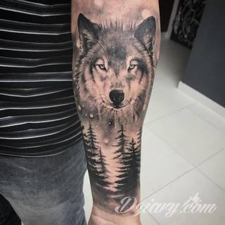 Wilk na tatuażu kojarzy się z niebezpieczeństwem. Starannie nakreślony pysk drapieżników, na ciele staje się konkretnym symbolem. Duże możliwości daje zastosowanie wilczych tatuaży na różnych fragmentach ciała. 