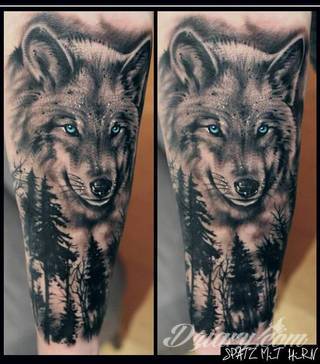 Wilk na tatuażu kojarzy się z niebezpieczeństwem. Starannie nakreślony pysk drapieżników, na ciele staje się konkretnym symbolem. Duże możliwości daje zastosowanie wilczych tatuaży na różnych fragmentach ciała. 