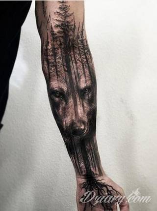 Wilk na tatuażu kojarzy się z niebezpieczeństwem. Starannie nakreślony pysk drapieżników, na ciele staje się konkretnym symbolem. Duże możliwości daje zastosowanie wilczych tatuaży na różnych fragmentach ciała. 
