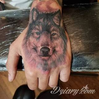 Wilk na tatuażu kojarzy się z niebezpieczeństwem. Starannie nakreślony pysk drapieżników, na ciele staje się konkretnym symbolem. Duże możliwości daje zastosowanie wilczych tatuaży na różnych fragmentach ciała. 