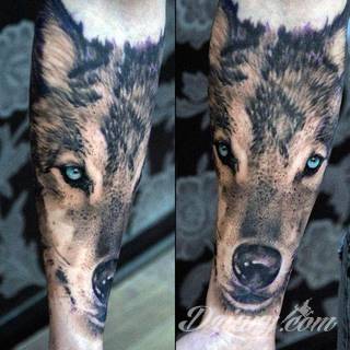 Wilk na tatuażu kojarzy się z niebezpieczeństwem. Starannie nakreślony pysk drapieżników, na ciele staje się konkretnym symbolem. Duże możliwości daje zastosowanie wilczych tatuaży na różnych fragmentach ciała. 
