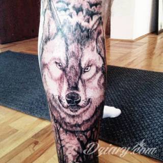 Wilk na tatuażu kojarzy się z niebezpieczeństwem. Starannie nakreślony pysk drapieżników, na ciele staje się konkretnym symbolem. Duże możliwości daje zastosowanie wilczych tatuaży na różnych fragmentach ciała. 