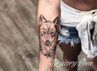 Wilk na tatuażu kojarzy się z niebezpieczeństwem. Starannie nakreślony pysk drapieżników, na ciele staje się konkretnym symbolem. Duże możliwości daje zastosowanie wilczych tatuaży na różnych fragmentach ciała. 