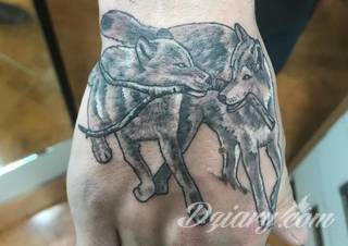 Wilk na tatuażu kojarzy się z niebezpieczeństwem. Starannie nakreślony pysk drapieżników, na ciele staje się konkretnym symbolem. Duże możliwości daje zastosowanie wilczych tatuaży na różnych fragmentach ciała. 