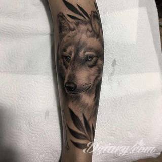 Wilk na tatuażu kojarzy się z niebezpieczeństwem. Starannie nakreślony pysk drapieżników, na ciele staje się konkretnym symbolem. Duże możliwości daje zastosowanie wilczych tatuaży na różnych fragmentach ciała. 