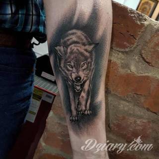 Wilk na tatuażu kojarzy się z niebezpieczeństwem. Starannie nakreślony pysk drapieżników, na ciele staje się konkretnym symbolem. Duże możliwości daje zastosowanie wilczych tatuaży na różnych fragmentach ciała. 
