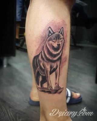 Wilk na tatuażu kojarzy się z niebezpieczeństwem. Starannie nakreślony pysk drapieżników, na ciele staje się konkretnym symbolem. Duże możliwości daje zastosowanie wilczych tatuaży na różnych fragmentach ciała. 