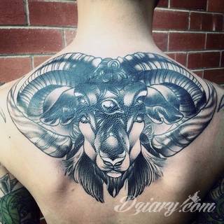Niesłabnąca popularność tatuaży ze znakami zodiaku to efekt dążenia do podkreślenia swojej osobowości. Rak, wodnik, koziorożec czy inny z 12 znaków - każdy znak zodiaku graficznie daje nieograniczone możliwości ciekawego rysunku na ciele. 