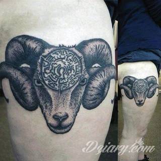 Niesłabnąca popularność tatuaży ze znakami zodiaku to efekt dążenia do podkreślenia swojej osobowości. Rak, wodnik, koziorożec czy inny z 12 znaków - każdy znak zodiaku graficznie daje nieograniczone możliwości ciekawego rysunku na ciele. 