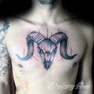 Niesłabnąca popularność tatuaży ze znakami zodiaku to efekt dążenia do podkreślenia swojej osobowości. Rak, wodnik, koziorożec czy inny z 12 znaków - każdy znak zodiaku graficznie daje nieograniczone możliwości ciekawego rysunku na ciele. 
