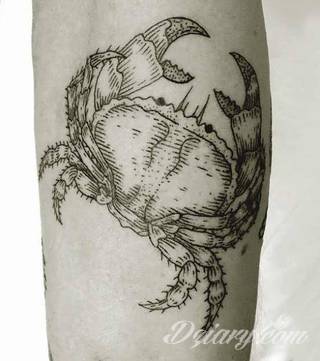 Niesłabnąca popularność tatuaży ze znakami zodiaku to efekt dążenia do podkreślenia swojej osobowości. Rak, wodnik, koziorożec czy inny z 12 znaków - każdy znak zodiaku graficznie daje nieograniczone możliwości ciekawego rysunku na ciele. 