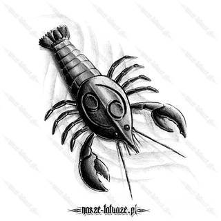 Niesłabnąca popularność tatuaży ze znakami zodiaku to efekt dążenia do podkreślenia swojej osobowości. Rak, wodnik, koziorożec czy inny z 12 znaków - każdy znak zodiaku graficznie daje nieograniczone możliwości ciekawego rysunku na ciele. 