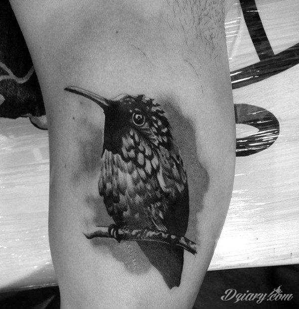songbird tattoo bicep