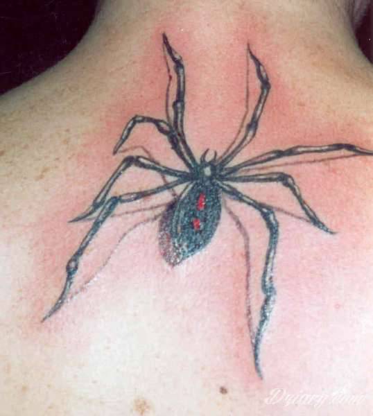 Tatuaż pająki