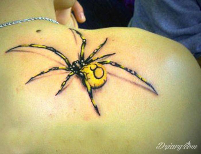 Tatuaż pająki