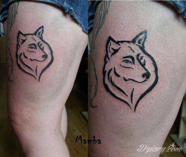 Tatuaż Klientka zafascynowana wilkami