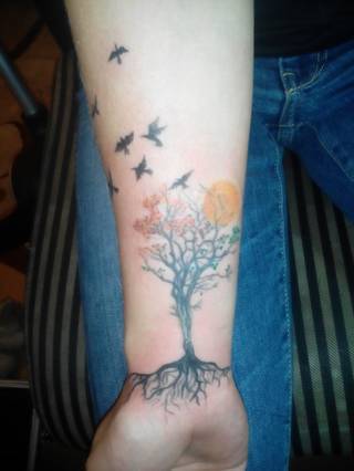 drzewo ptaki przedramie