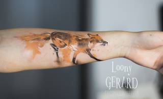 Akwarelowy lis projektu Gerarda (loonygerard)