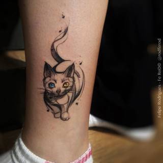 Dziara kota z różnokolorowymi oczami ponad kostką.