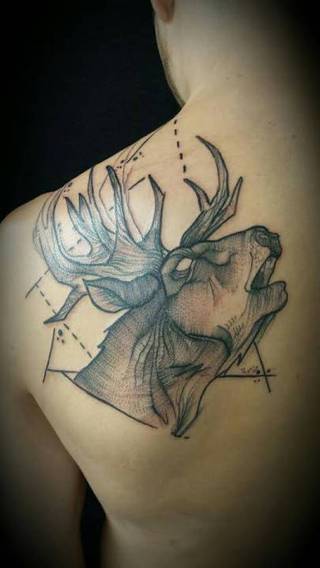 Dziara z rozwścieczonym jeleniem.