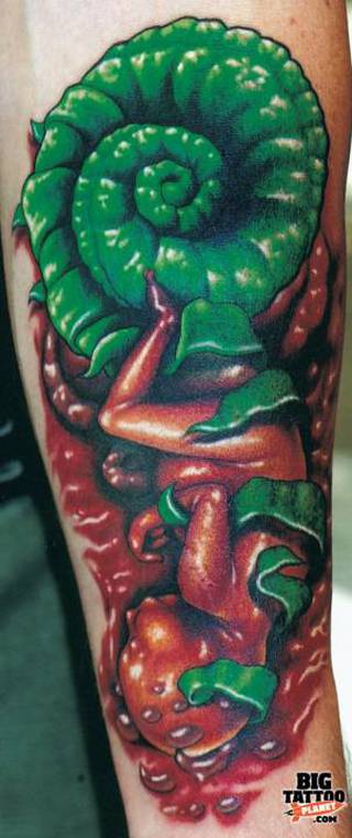 Embrion dziecka z zieloną muszlą.