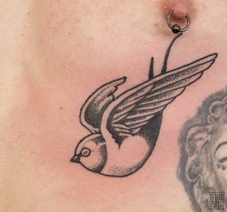 Jaskółka, dotwork / Tattoo Szelest