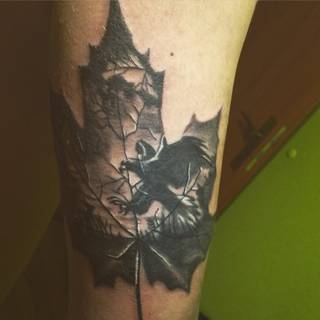 Jeden z moich tatuaży , przede mną jeszcze z kilkanaście. Pozdrawiam !