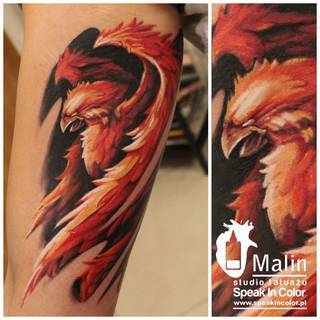 Kolorowy feniks by Malin ze Speak In Color!
www.speakincolor.pl
https://www.facebook.com/SpeakInColorTattoo