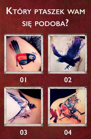 Który najładniejszy?