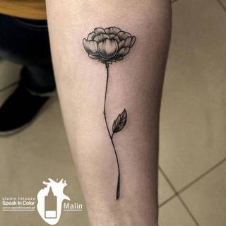 Kwiatuszek w stylu Malina ze Speak In Color.
https://www.facebook.com/SpeakInColorTattoo