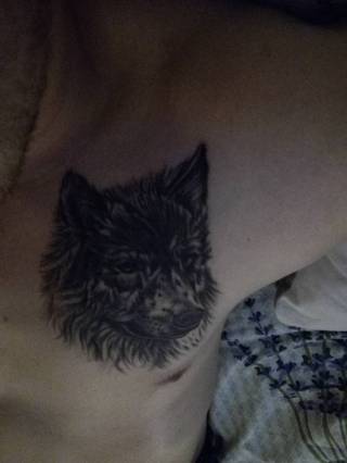 Mój wilczek a bardziej cały ja, jako zamiłowanie do natury dzikości serca, dużego znaczenia więzi rodzinnych oraz dużej indywidualności. Co myślicie ?