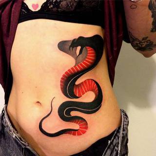 Nie można ukryć jadowitego wnętrza - można je tylko zneutralizować i odtruć.