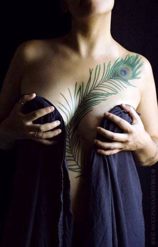 Pawie pióro, kolorowe pawie pióro pióra