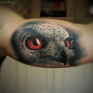 Realistyczny tatuaż sowy. Autor: Csörsz Pèter