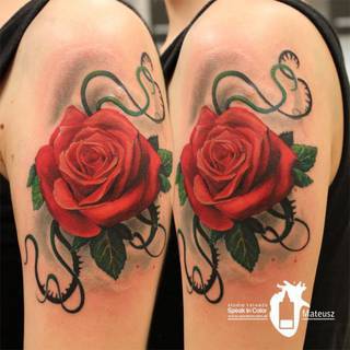 Róża wykonana przez Meffa ze studia Speak In Color! https://www.facebook.com/SpeakInColorTattoo