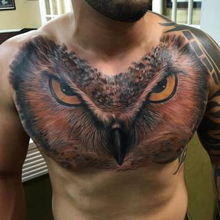 Sowa w kolorze. Wykonanie: Gabe Tucker