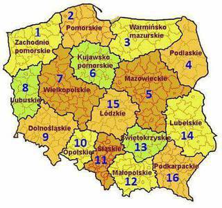 Sprawdzamy które województwo jest najbardziej wydziarane!