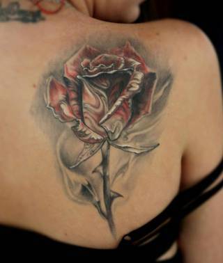 Szaro-czerwona, na wpół zwiędła róża wydziarana na prawej łopatce.