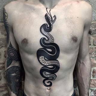 Twój jad stanowić będzie o mocy, z jaką wgryziesz się w swoje pasje. Nikt nie udostępni ci ich tak bardzo jak Twoja determinacja.