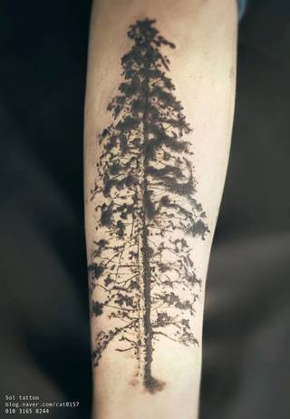 W czerni kniei odnajdziesz się tylko własnym intelektem.