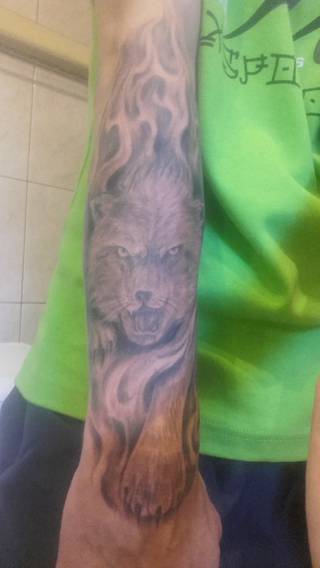 wilk wychodzący z ognia