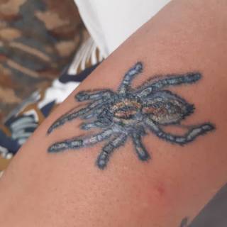 Witam, tydzien temu zrobilem sobie tatuaz u znajomego, robilem juz u niego wiecej moich tatuazy i nigdy nie bylo zadnego problemu ale teraz pokazaly sie zielonkawe strupy z ktorych cieknela ropa lub jakis inny bialy płyn, co powinienem zrobic w tej sytuacji? Czy ma to do czynienia z tym ze za głęboko wbijał igłę? 