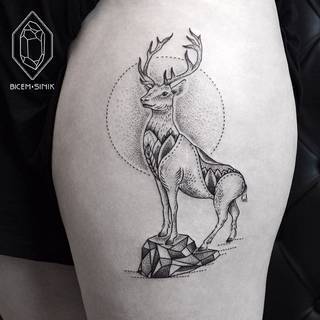 Wykonanie: BICEM SINIK