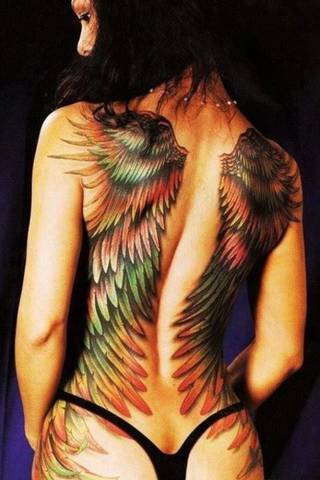 Zachwycające kolorowe skrzydła